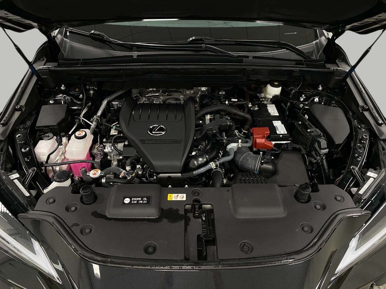 2024 Lexus NX NX 350 Premium AWD